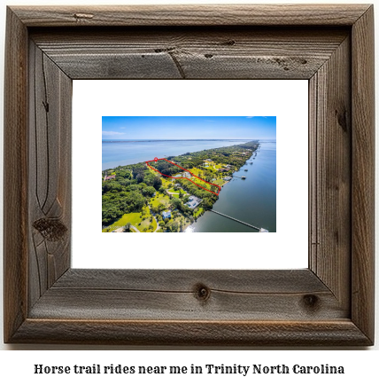 horse trail rides near me in Trinity, North Carolina